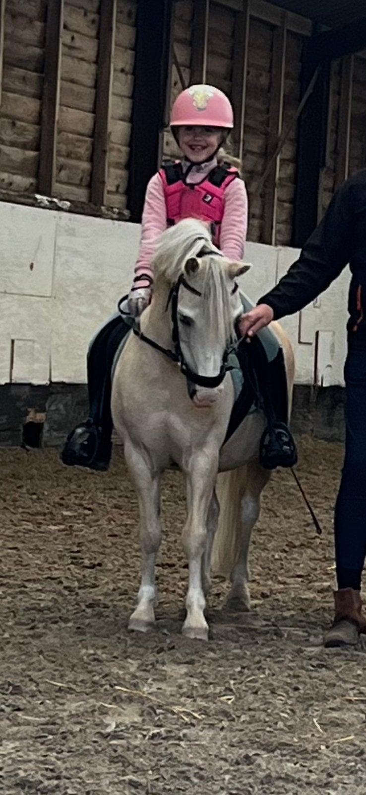 FANTASTISCHE BIXIE LEERPONY, Met stamboom, Ruin, A pony (tot 1.17m), L