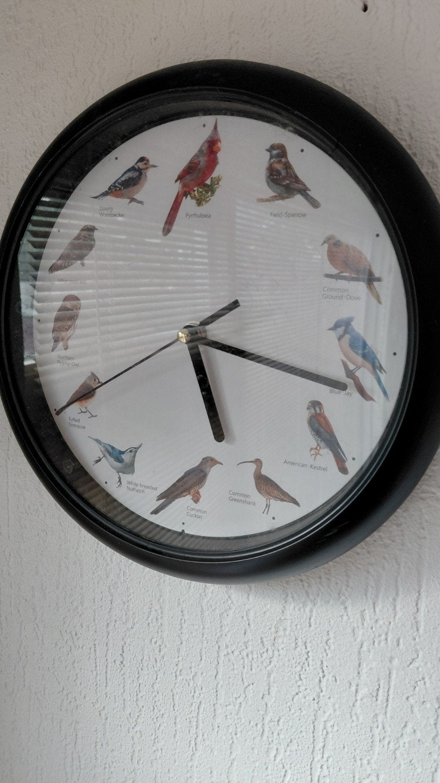 Wandklok met vogel geluiden, Ophalen, Analoog, Werkt op batterijen, Zwart