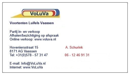 DIVERSE ISABELLA, VENTURA VOORTENTEN en LUIFELS., Ophalen, Nieuw, Isabella
