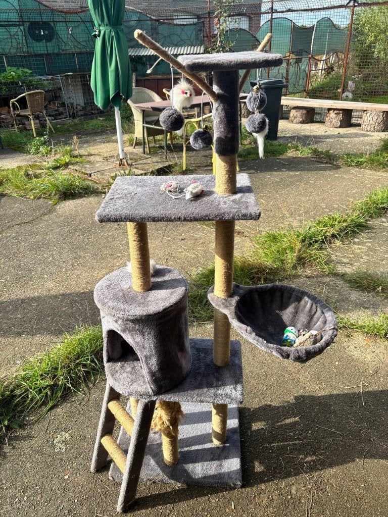 GRATIS afhalen Katten krabpaal ( kittens), Dieren en Toebehoren, Ophalen, Gebruikt, Krabpaal