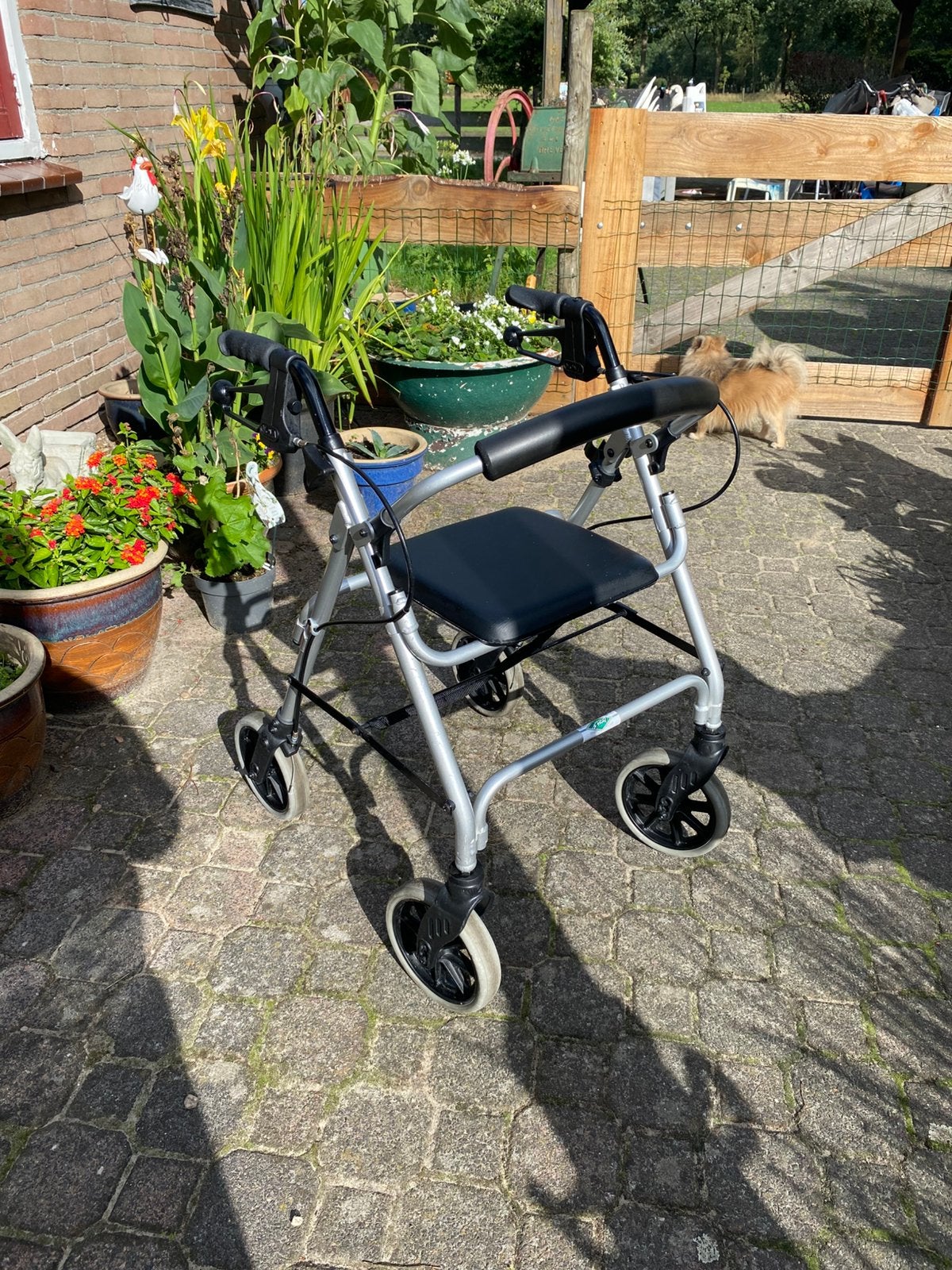 Lichtgrijze lichtgewicht rollator, Ophalen of Verzenden, Lichtgewicht, Zo goed als nieuw