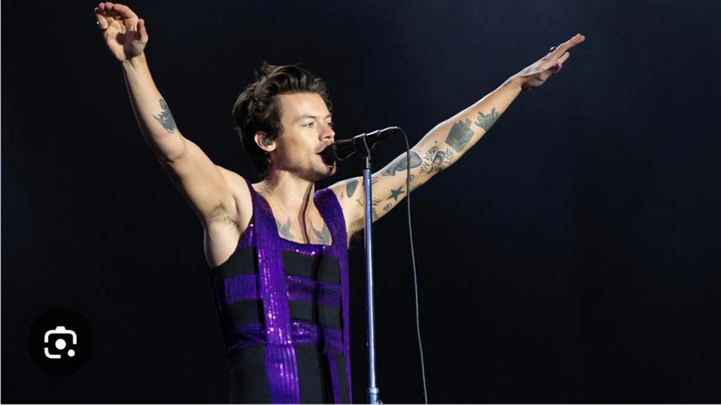 TE KOOP 2 Concertkaarten HARRY STYLES  22/05/26, Twee personen