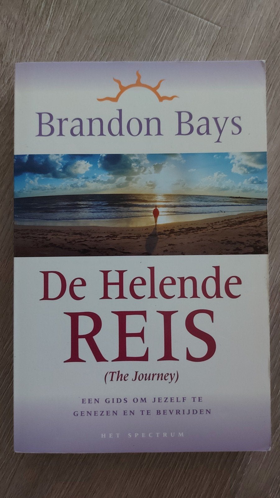 G1: De helende reis - Brandon Bays, Boeken, Ophalen of Verzenden