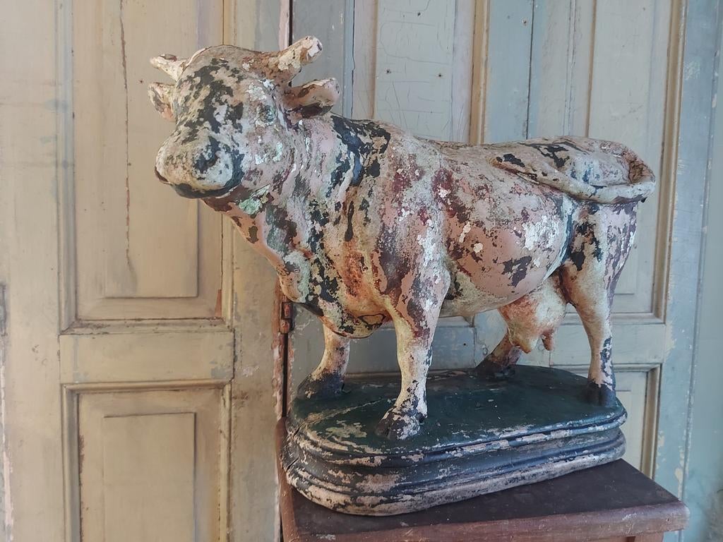 Grote mooi verweerde etalage koe op plateau ca 50 cm, Ophalen of Verzenden