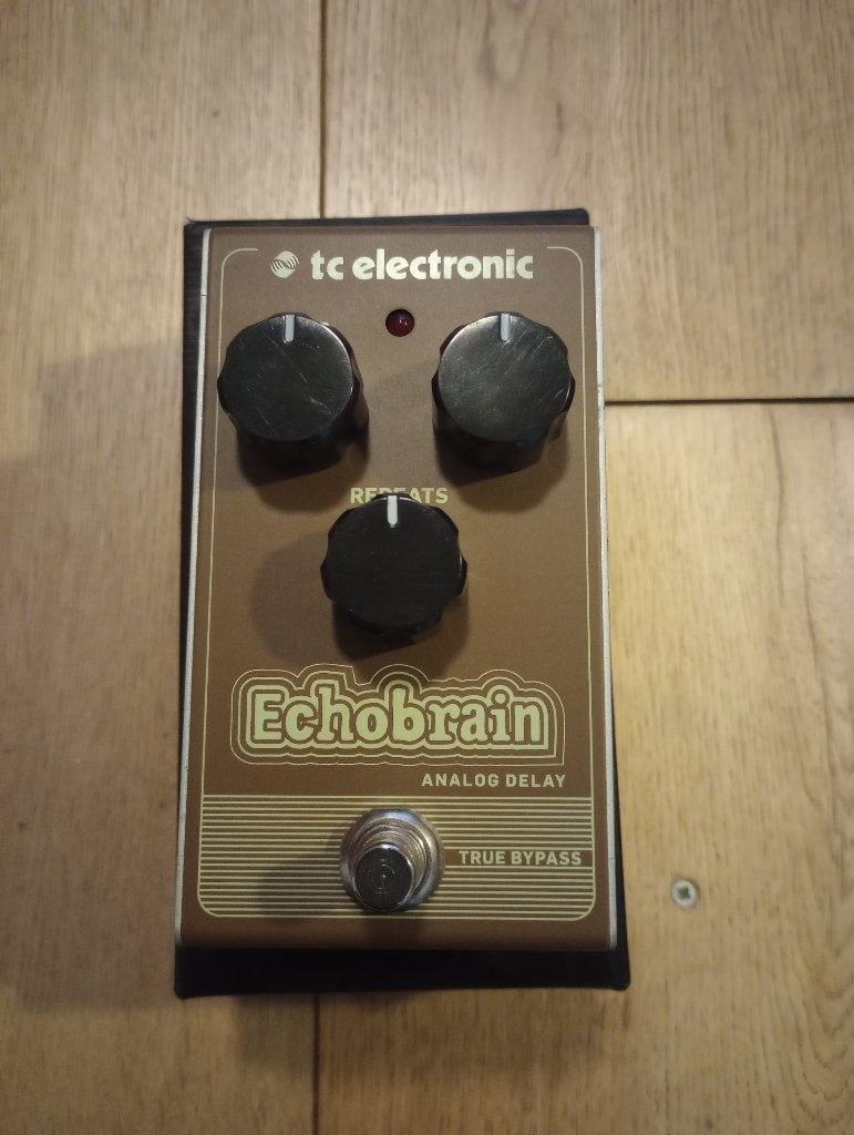 T.C Electronics Echobrain Delay Echo, Muziek en Instrumenten, Ophalen of Verzenden, Gebruikt, Delay of Echo