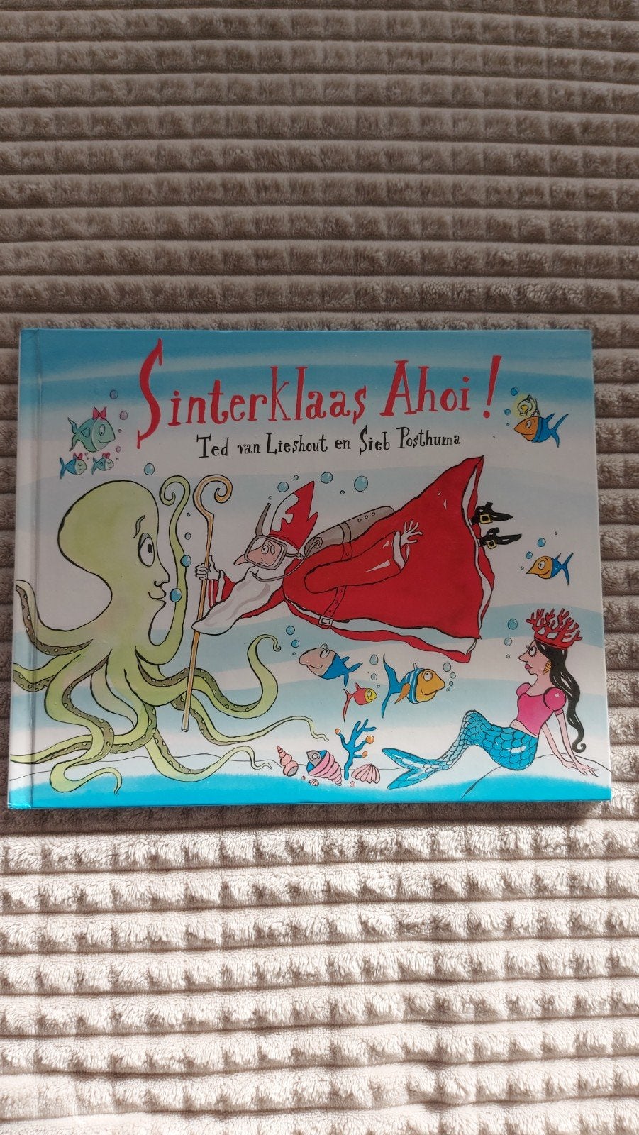 Sinterklaas Ahoi! Prentenboek van Ted van Lieshout, Ophalen of Verzenden, Zo goed als nieuw, Ted van Lieshout