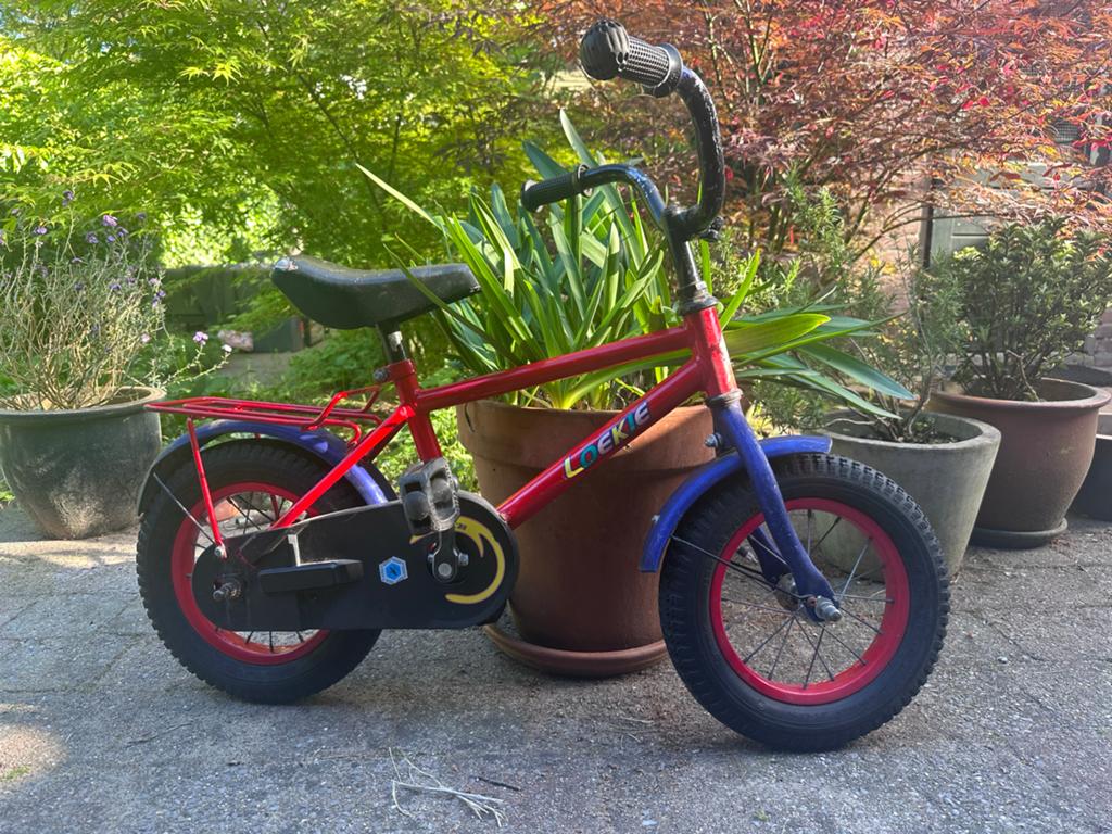 Kinderfiets Loekie 12 inch - Rood/Blauw, Ophalen, Gebruikt, Terugtraprem, Minder dan 16 inch