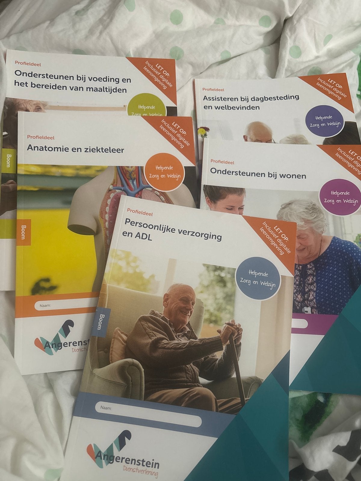 Helpende zorg en welzijn niveau 2, Ophalen of Verzenden, Zo goed als nieuw, Overige niveaus, Overige vakken