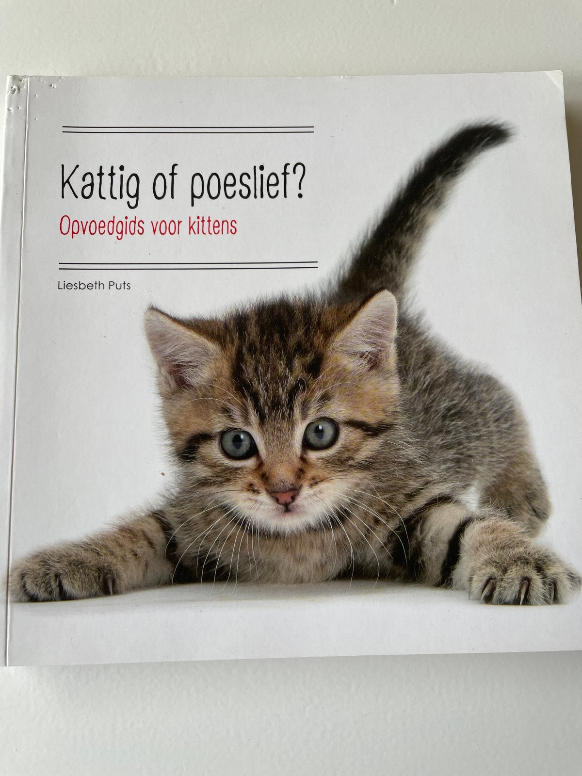 Liesbeth Puts - Kattig of poeslief, Liesbeth Puts, Katten, Ophalen, Gelezen