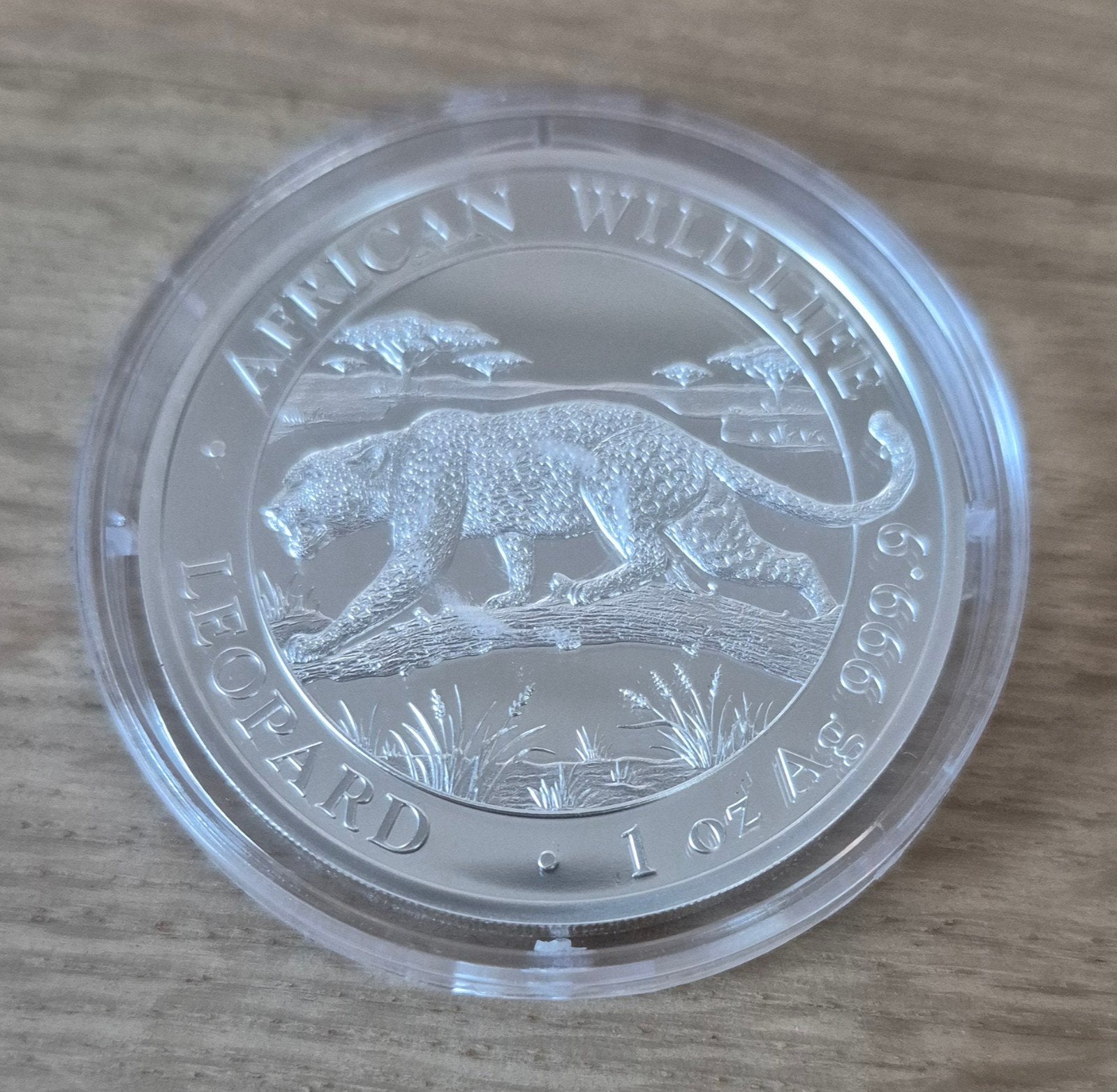 1 oz zilveren munt Somalia Leopard 2026, Ophalen of Verzenden, Zilver