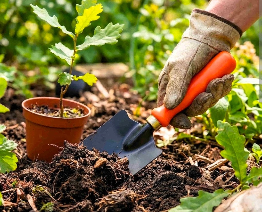 Goedemorgen! 
 Heeft u geen tijd om uw tuin te onderh, Ophalen