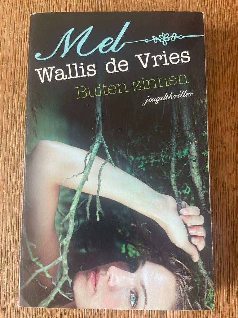 Buiten zinnen Mel Wallis de Vries, Verzenden, Gelezen