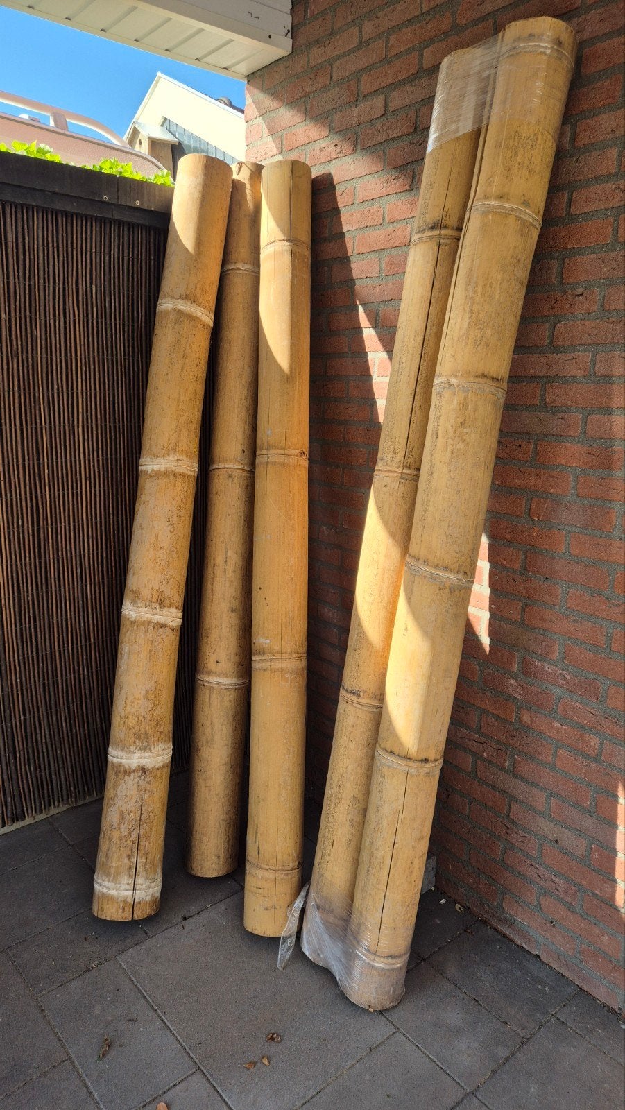 Bamboe palen 210 cm hoog, diameter 14 cm, Ophalen of Verzenden, 250 cm of meer, Palen