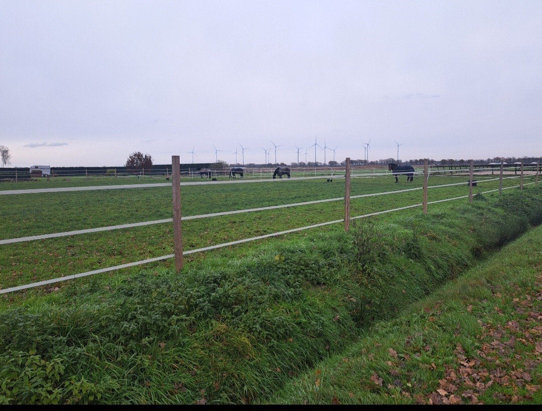 hardhouten palen te koop