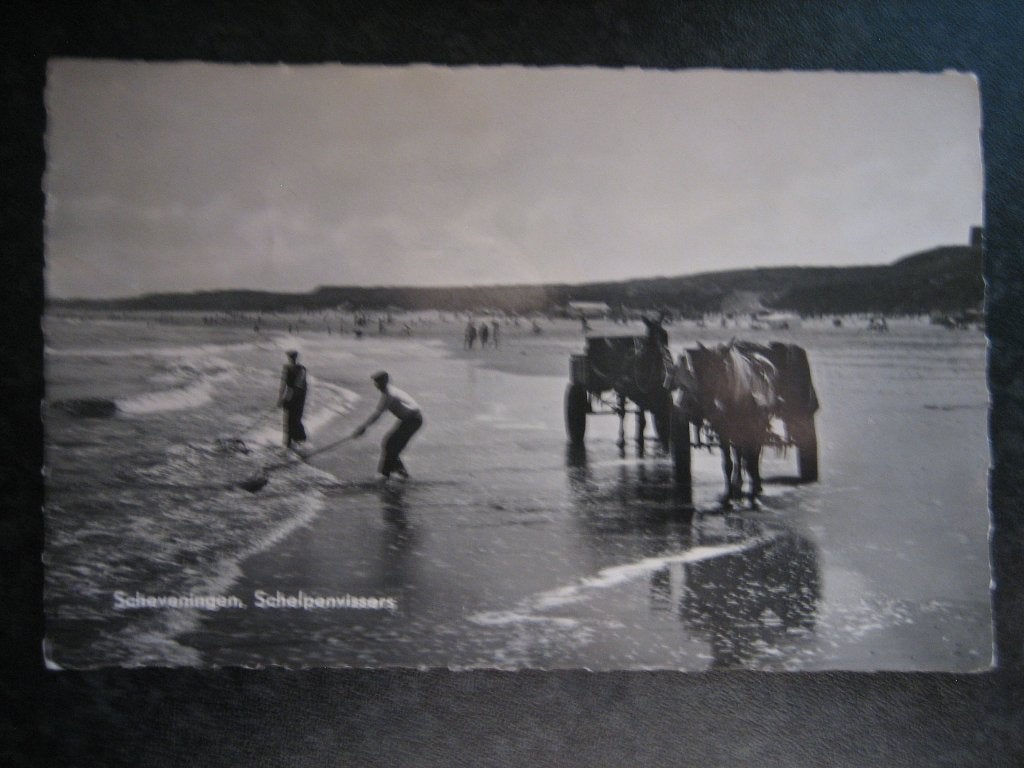 SCHEVENINGEN Schelpenvissers 1959, Ophalen of Verzenden, 1940 tot 1960, Zuid-Holland