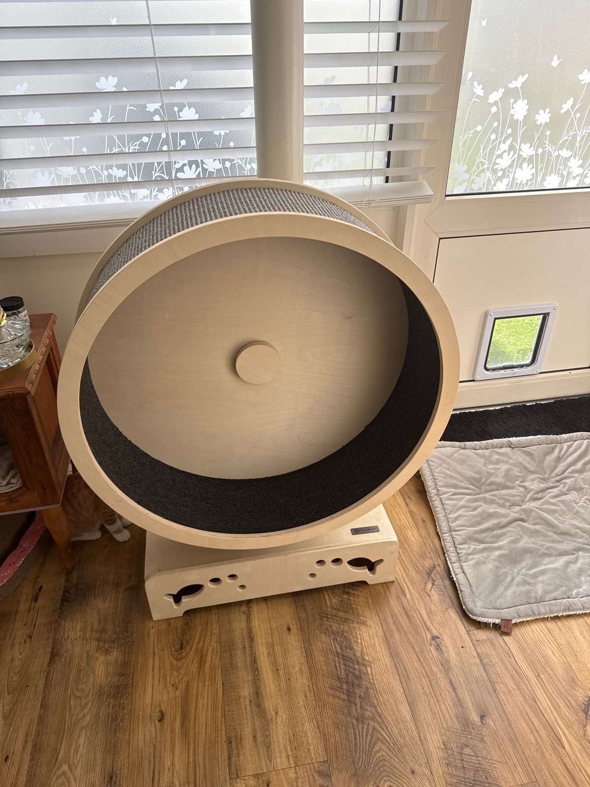 Loopband voor katten met krabtapijt, Dieren en Toebehoren, Ophalen