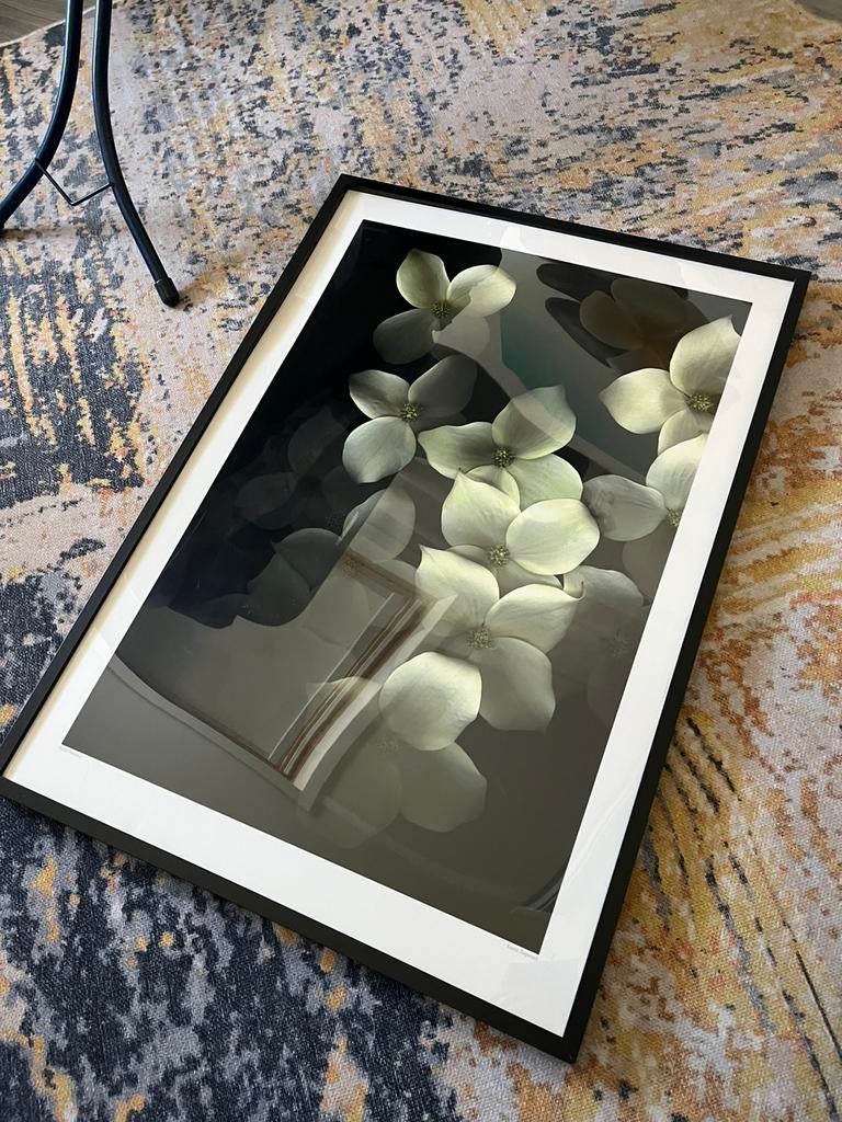 Te koop bloemen schilderij ikea, Huis en Inrichting, Woonaccessoires | Stolpen, Ophalen of Verzenden, Zo goed als nieuw
