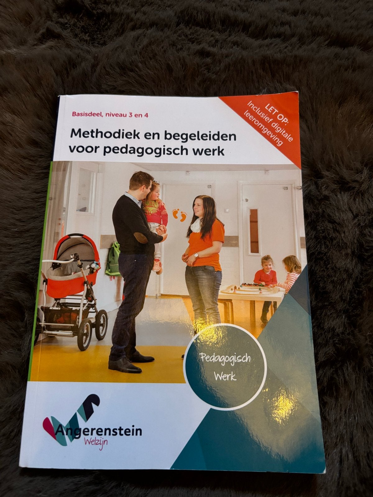Methodiek en begeleiden voor pedagogisch werk, Boeken, Ophalen of Verzenden, Gamma, Zo goed als nieuw, MBO