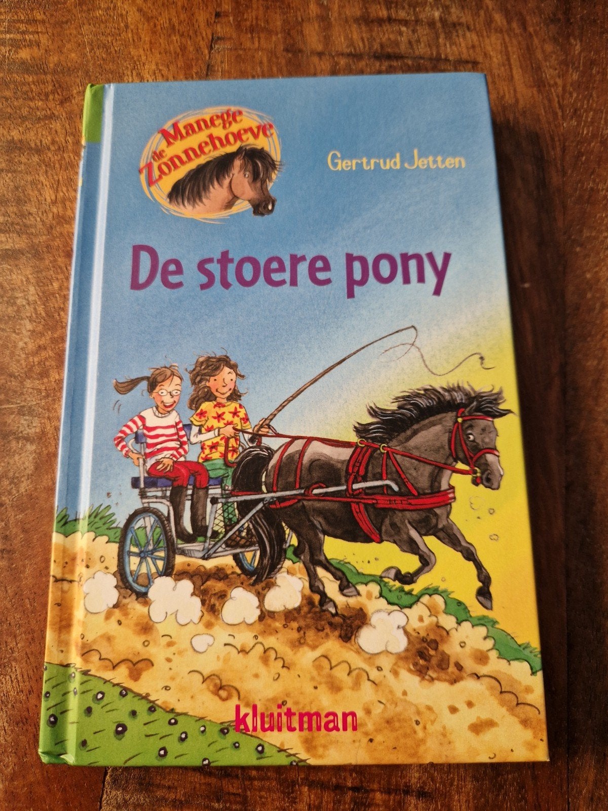 Manege de Zonnehoeve: Gertrud Jetten - De stoere pony, Boeken, Fictie algemeen, Ophalen of Verzenden, Zo goed als nieuw, Gertrud Jetten
