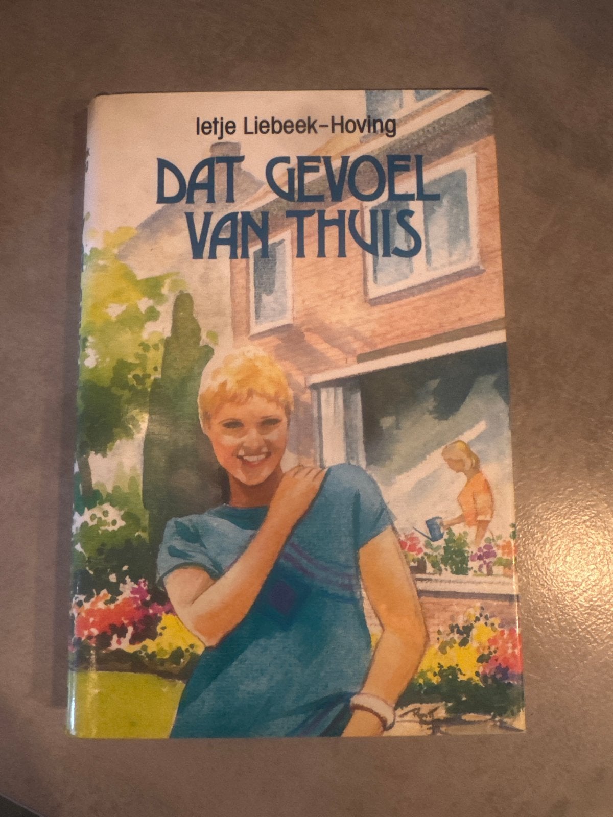 Dat Gevoel Van Thuis - Letje Liebeek-Hoving, Boeken, Ophalen of Verzenden, Zo goed als nieuw, Nederland