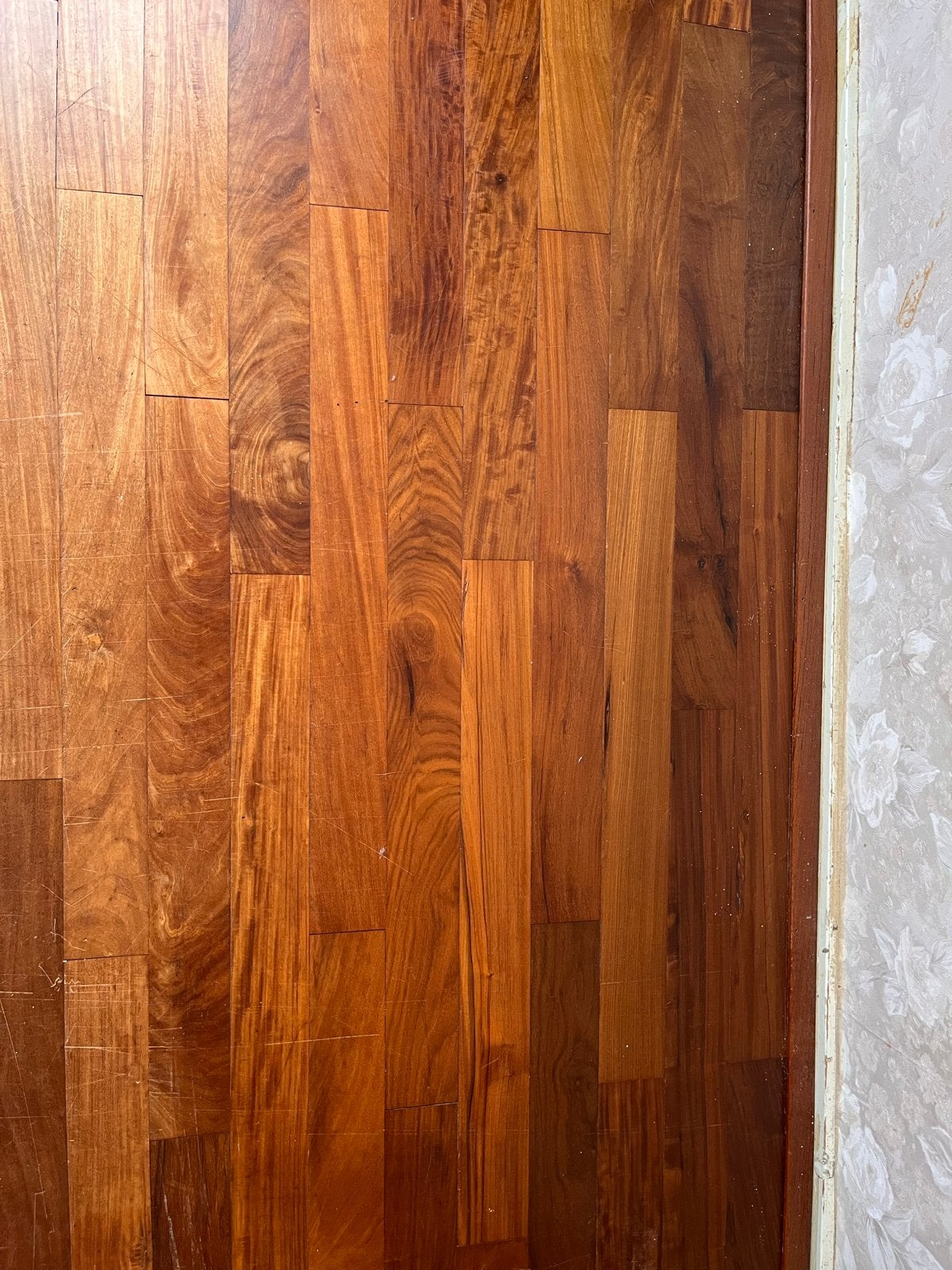 Massief Panga Panga parket - Wenge - tropisch hardhout, 50 tot 150 cm, Vloerdelen of -planken, Zo goed als nieuw, 10 m² of meer