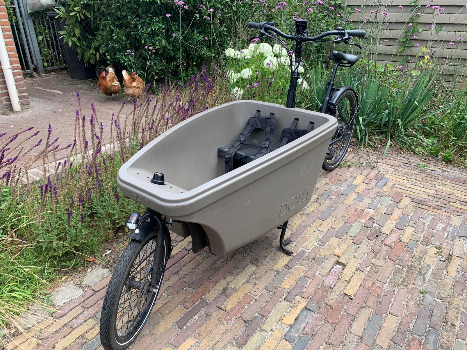 Elektrische Dolly Bakfiets - inclusief regenhuif, Fietsen en Brommers, Fietsen | Bakfietsen, Ophalen, Gebruikt, 3 kinderen, Overige merken