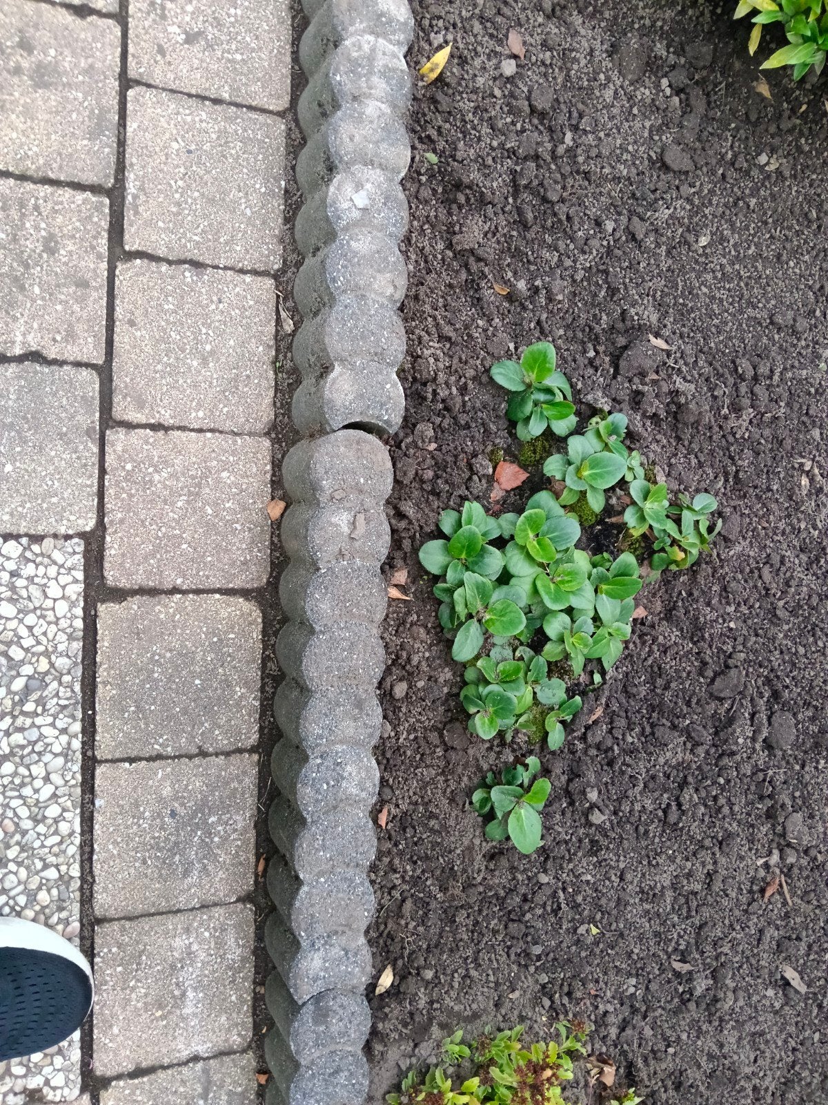 23 x Betonnen borderstenen voor tuin of pad, Ophalen, Gebruikt, Minder dan 25 cm, Border