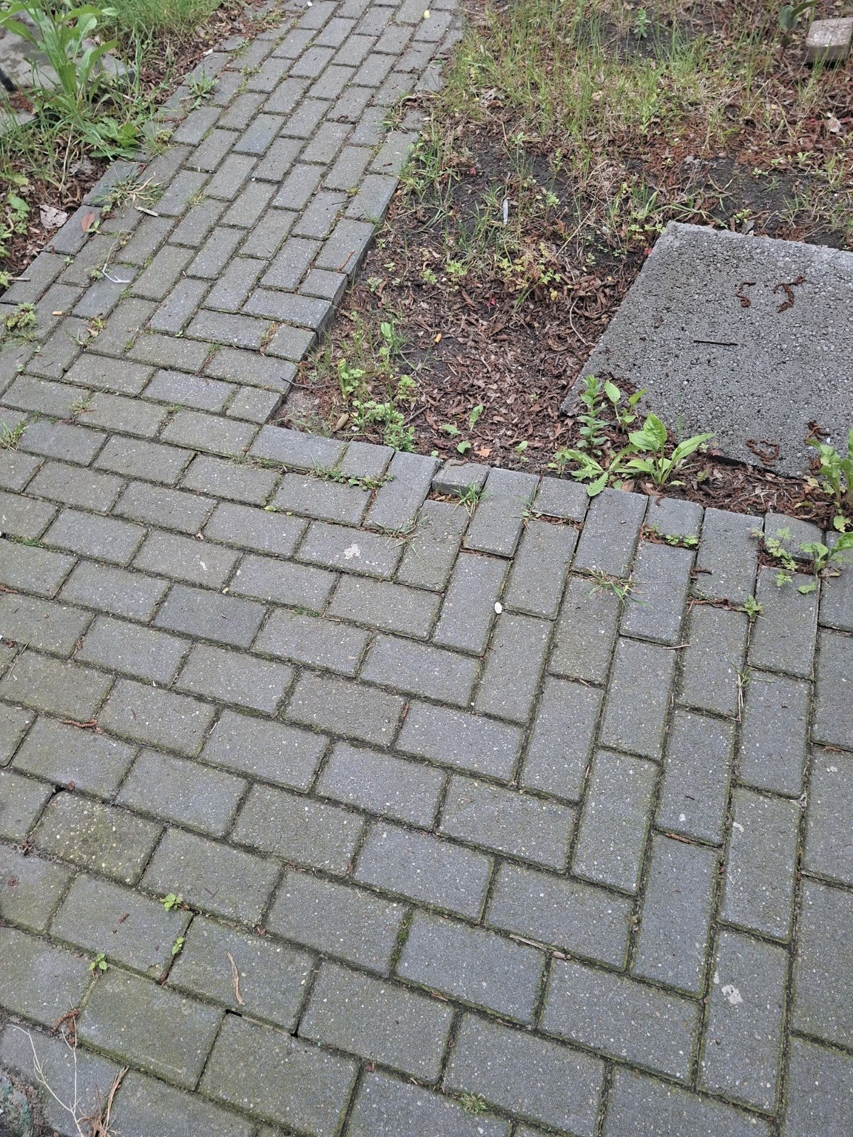 Gratis stenen, ongeveer 8m2, Gebruikt, Klinkers, Beton, 5 tot 10 m²