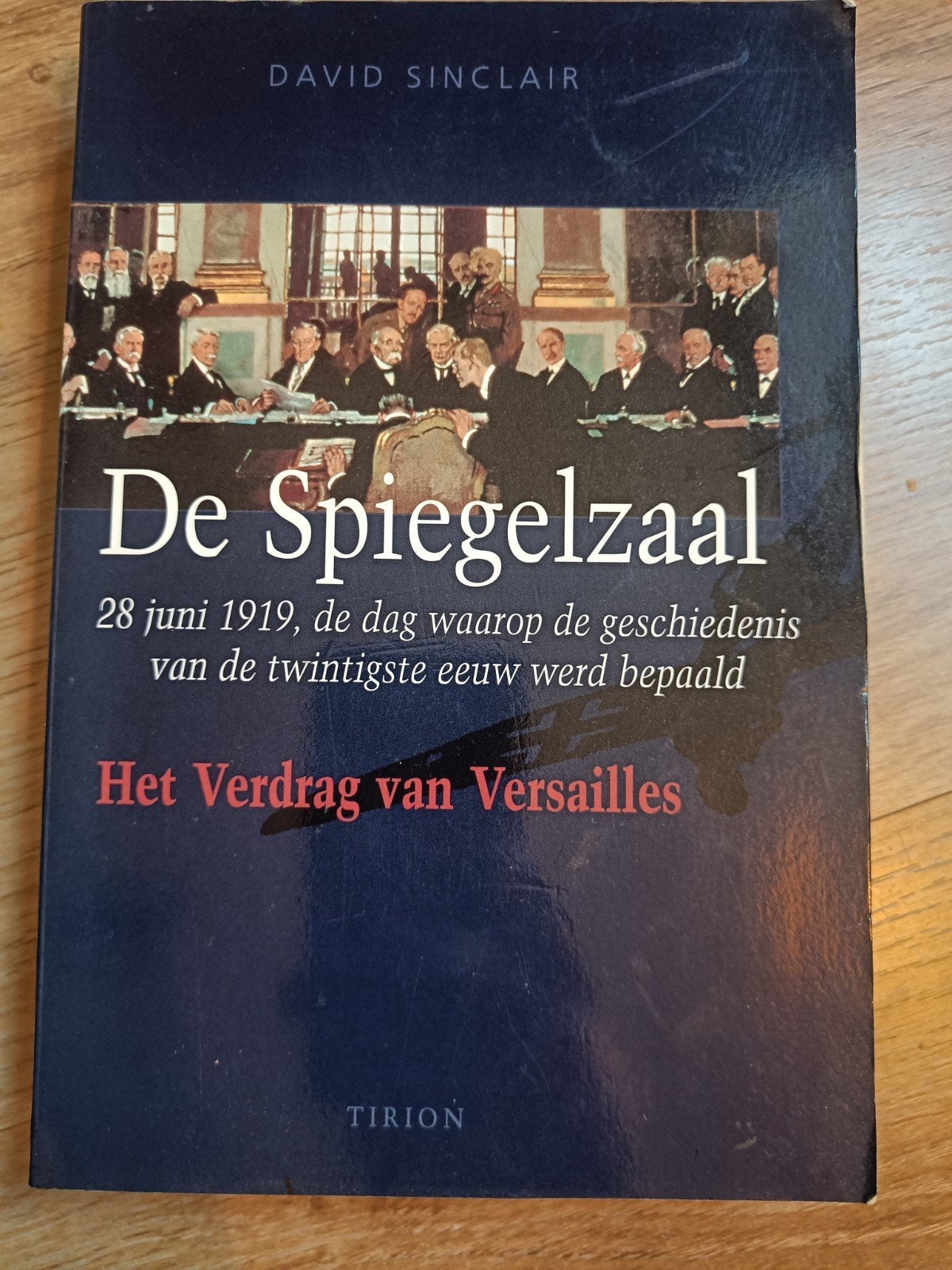 Dani Sinclair - Spiegelzaal, Boeken, Ophalen of Verzenden, Zo goed als nieuw, Dani Sinclair