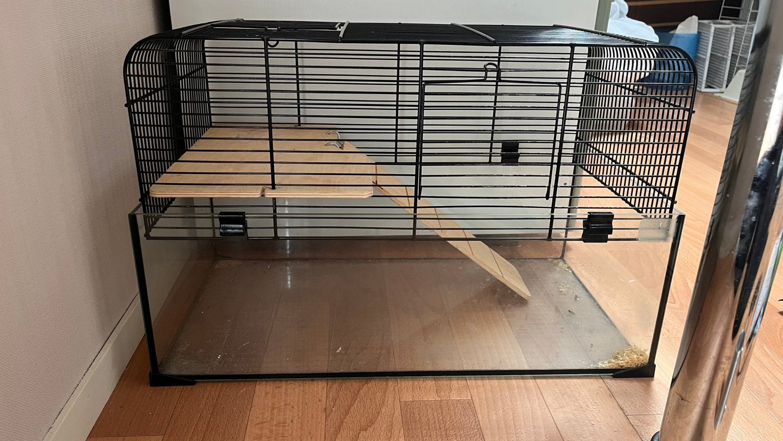 Glazen hamster kooi, Kooi, Gebruikt, Minder dan 75 cm, Hamster