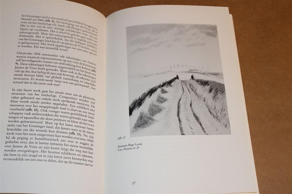 Groninger Ploegkunstenaar Jannes de Vries — Leven & Werk, Boeken, Ophalen of Verzenden, Gelezen