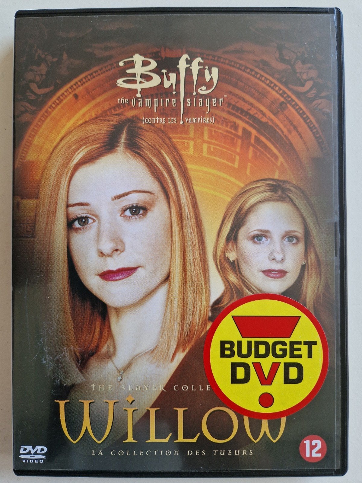 Buffy the Vampire Slayer - Willow [DVD], Engels, Verzenden, Nederlands, Zo goed als nieuw