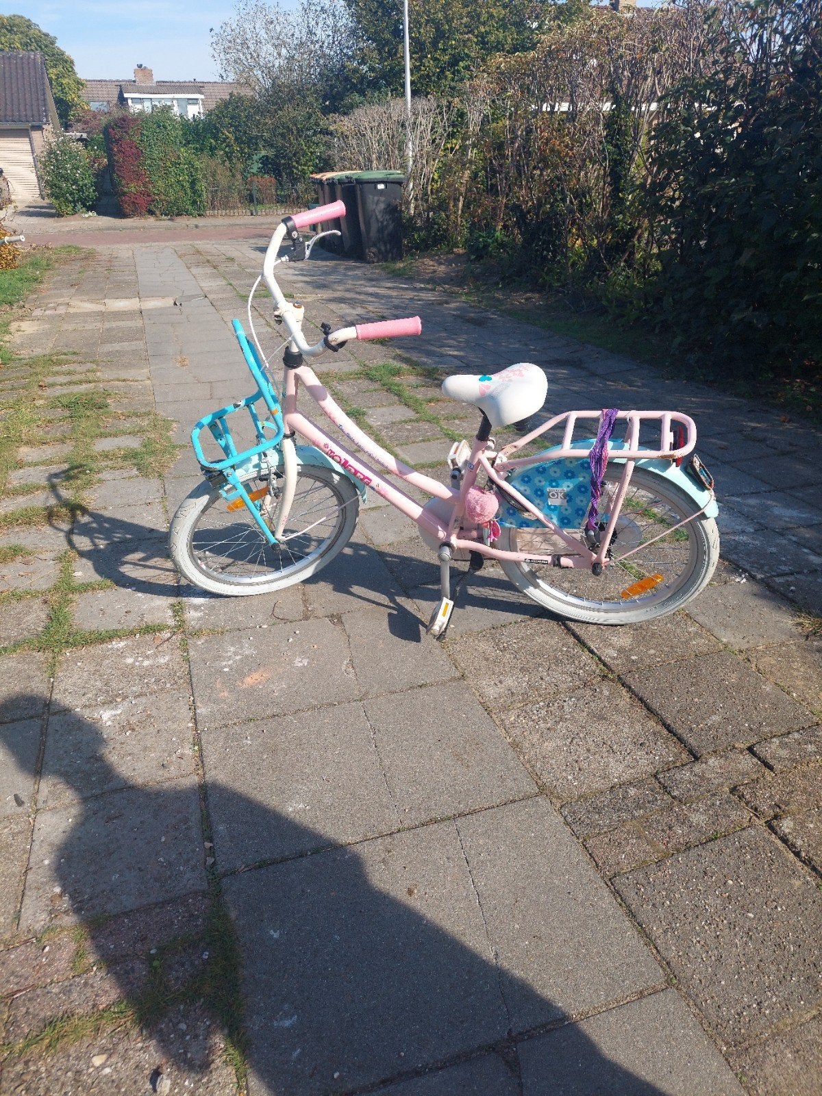20 inch kinderfiets Roze/Blauw met Voorrekje - Gebruikt, Ophalen, Gebruikt, Terugtraprem, Onbekend