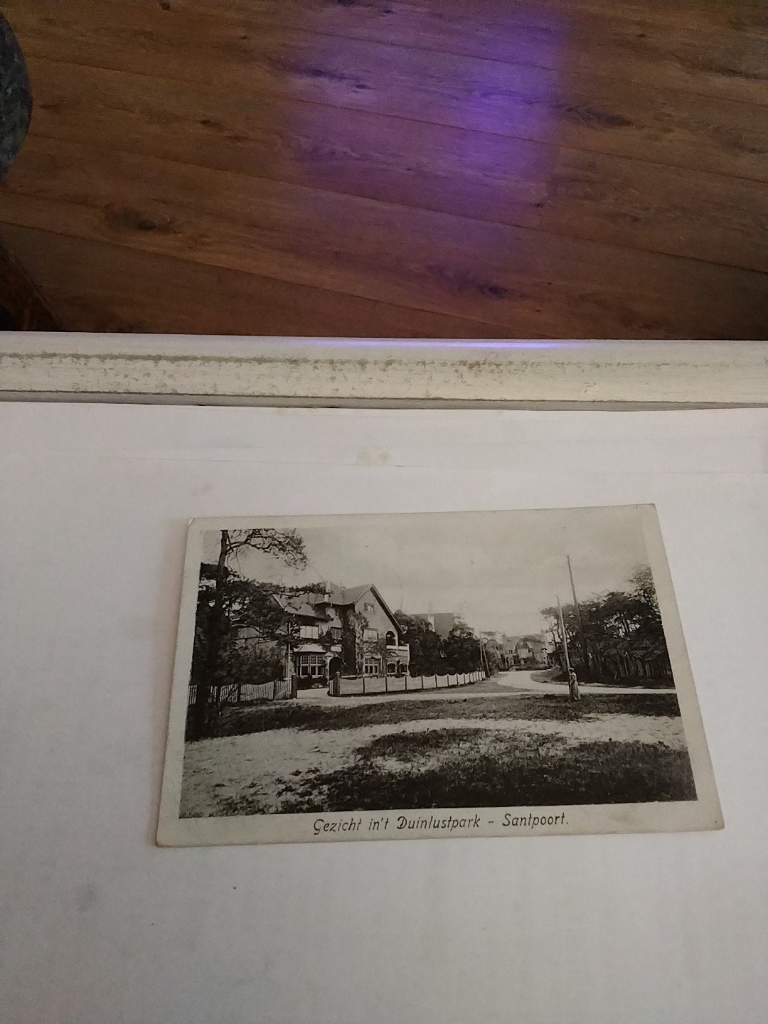 Oude Ansichtkaart Santpoort - Gezicht in 't Duinlustpark, Ophalen of Verzenden, Voor 1920, Gelopen, Noord-Holland