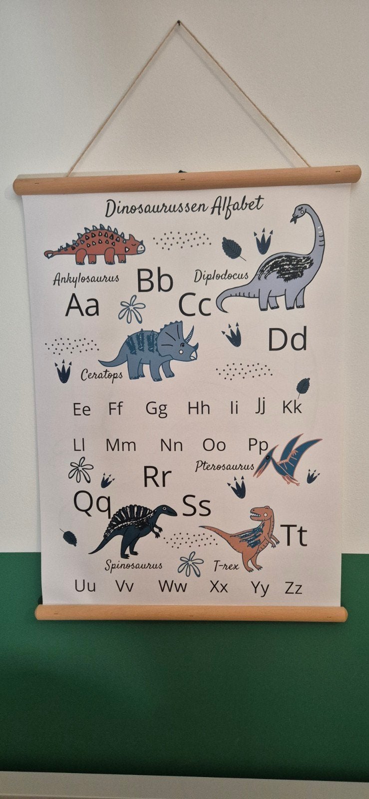 Schoolplaat in zeer goede staat! 51 cm breed, 70 cm hoog, Ophalen of Verzenden, Natuur en Biologie