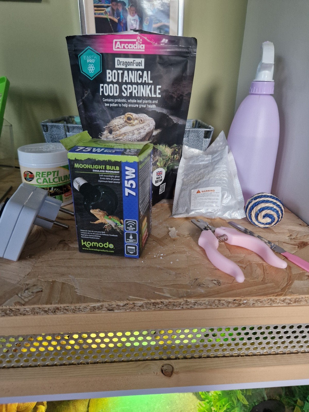 Baardagaam met terrarium en toebehoren Bearded Dragon photo 6