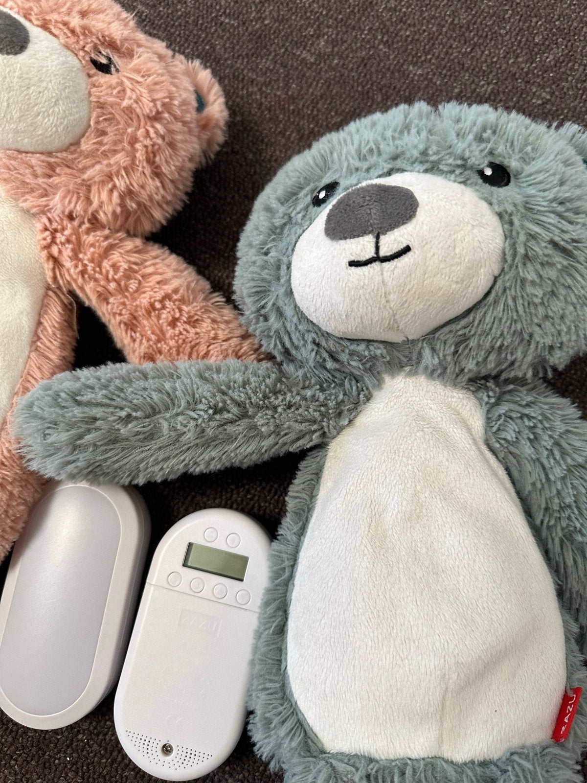 Zazu Brody de Beer Sleeptrainer - Blauw en Roze Knuffelberen, Gebruikt, Overige merken, Met geluid, Overige karakters