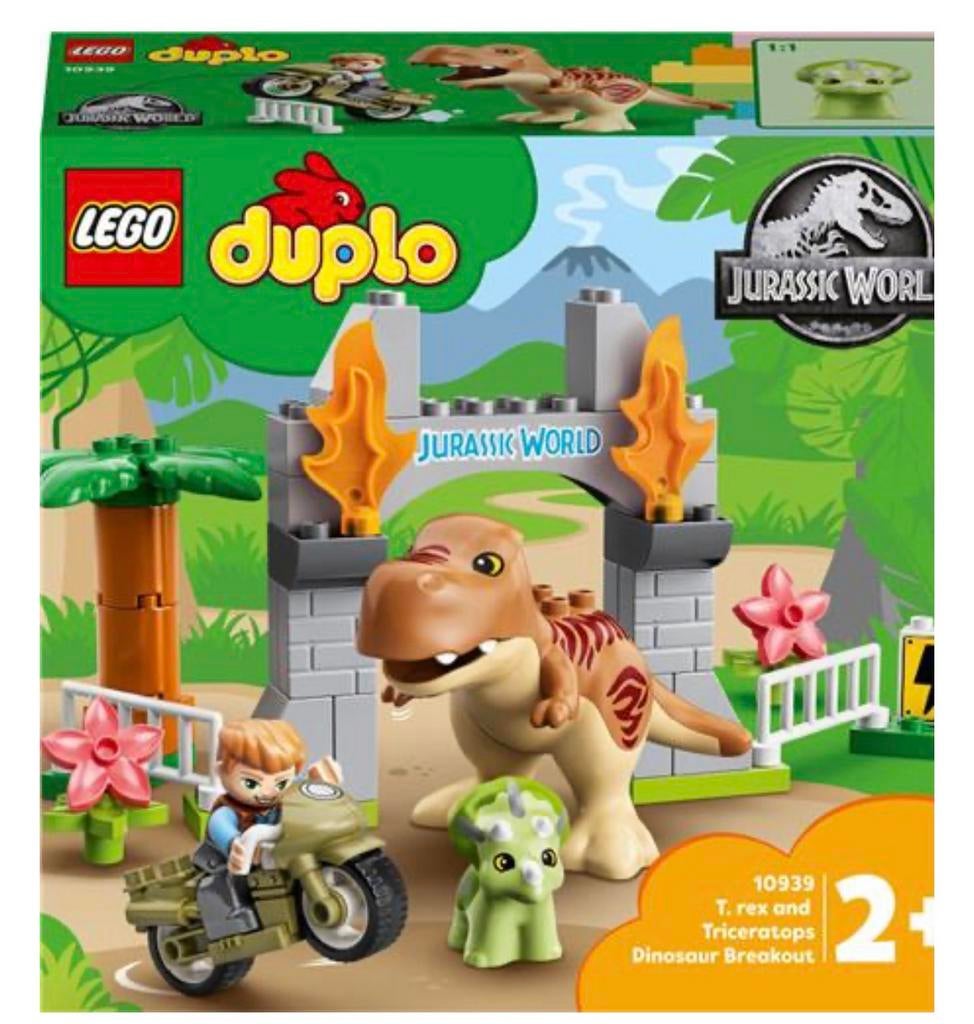 Duplo verzameling met bouwplaat (10875, 10593, 10939, 10929), Kinderen en Baby's, Speelgoed | Duplo en Lego, Ophalen, Zo goed als nieuw
