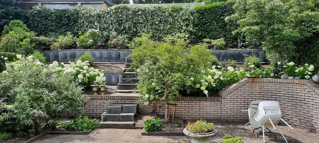 Hovenier groenvoorziening en tuinaanleg, Tuinontwerp