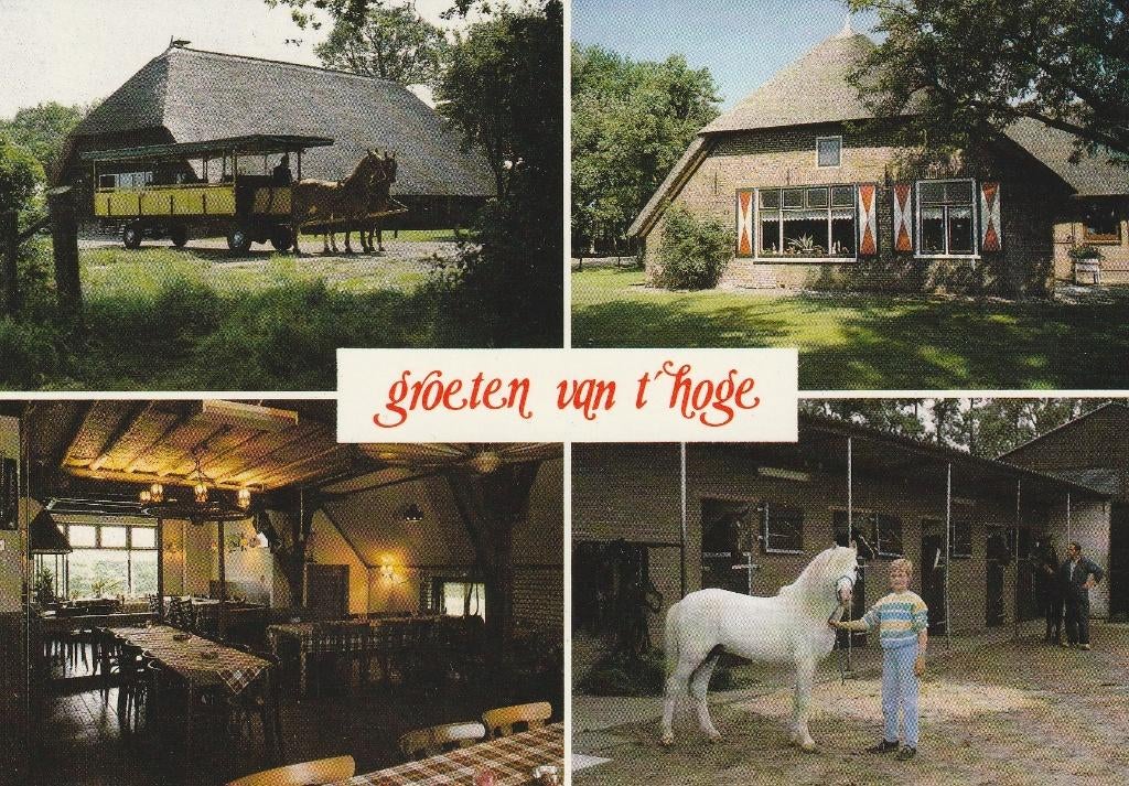 Nunspeet     Boerderij t,Hoge 18, Ophalen of Verzenden, 1960 tot 1980, Ongelopen, Gelderland