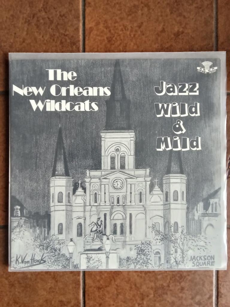 The New Orleans Wildcats, Cd's en Dvd's, Vinyl | Jazz en Blues, 1980 tot heden, Ophalen of Verzenden, Zo goed als nieuw, 12 inch