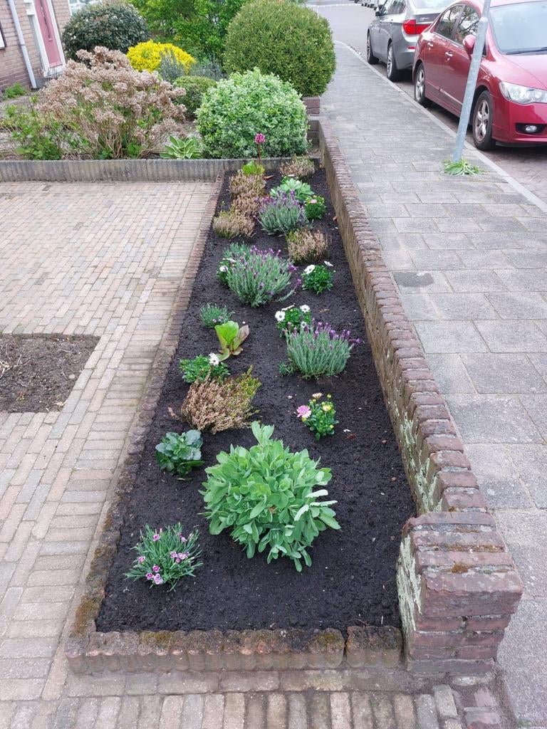 Tuin man maakt u tuin weer netjes