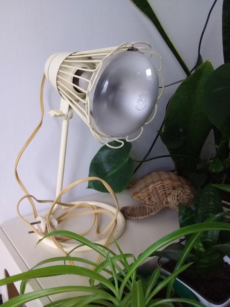 Vintage Philips verstelbare lamp, Ophalen of Verzenden