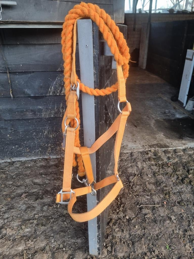 Halster te koop kleur: oranje. Maat:full, Overige typen, Overige soorten, Ophalen of Verzenden, Zo goed als nieuw