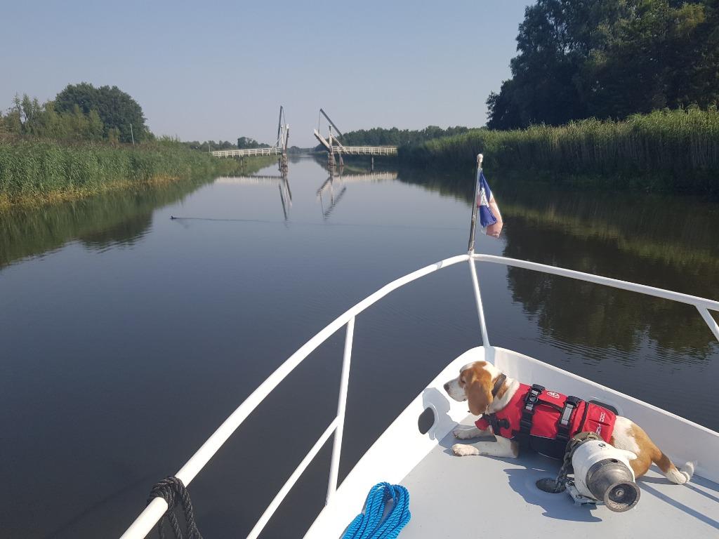 Foto 6 van Last minute! Motorkruiser, boot huren. Bootverhuur Friesland