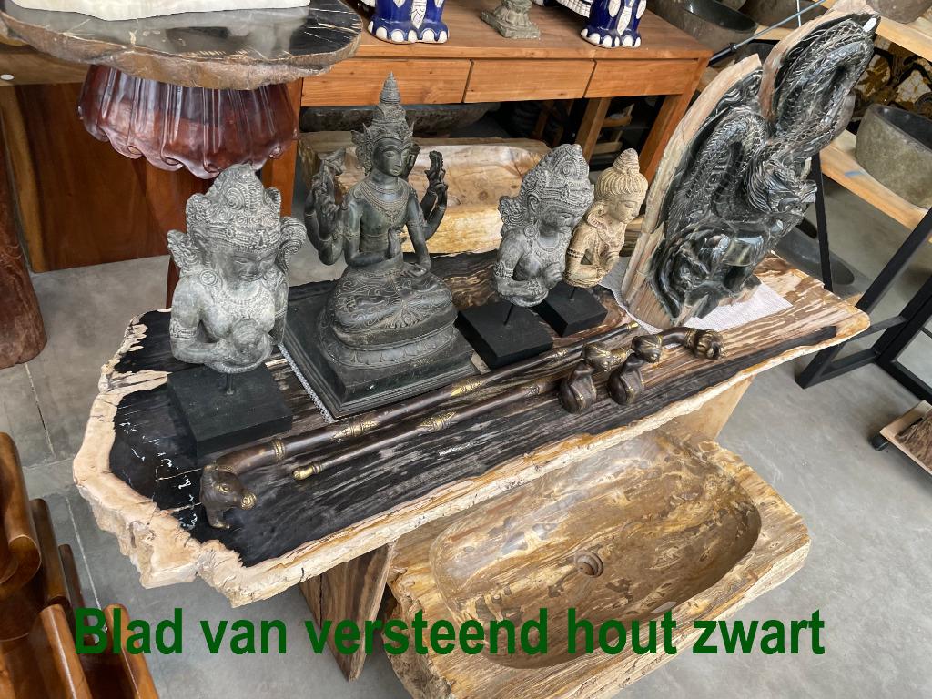 Ronde en rechthoekige bladen van versteend hout, Ophalen, Fossiel