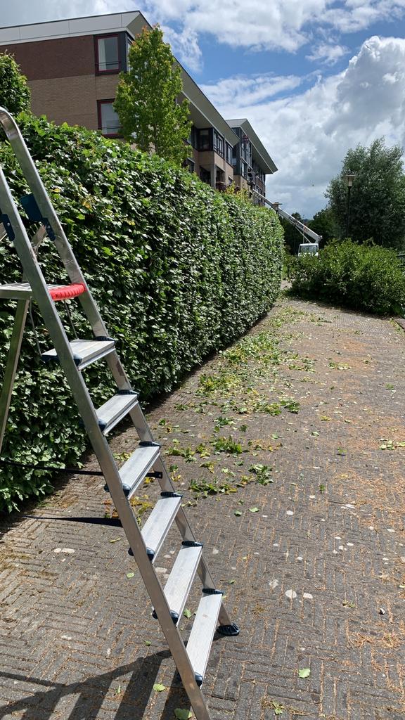 Tuinman / Hovenier aangeboden, Diensten en Vakmensen, Tuinmannen en Stratenmakers, Tuinonderhoud of Snoeiwerk