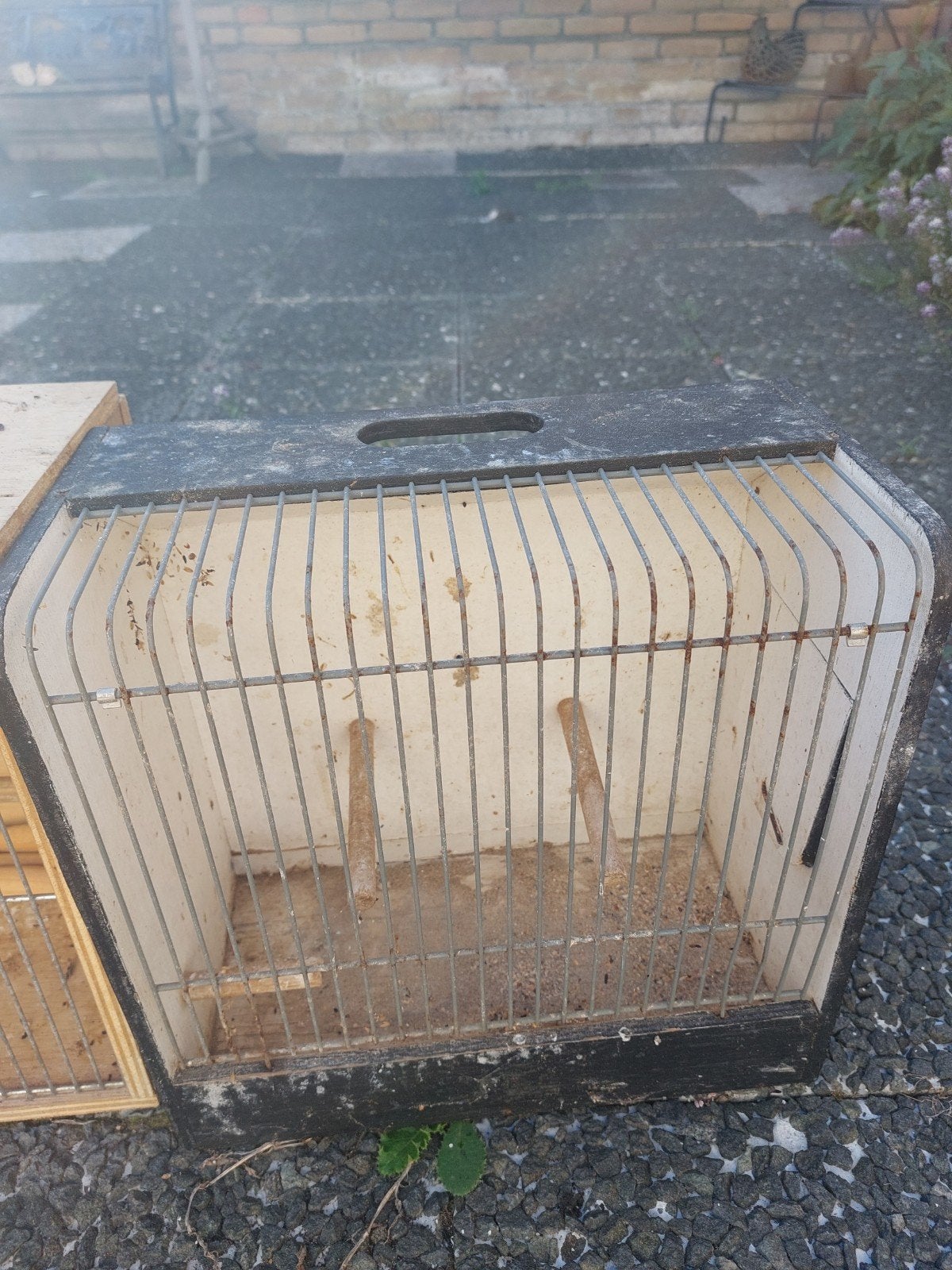 vang kooien voor vogels, Dieren en Toebehoren, Ophalen