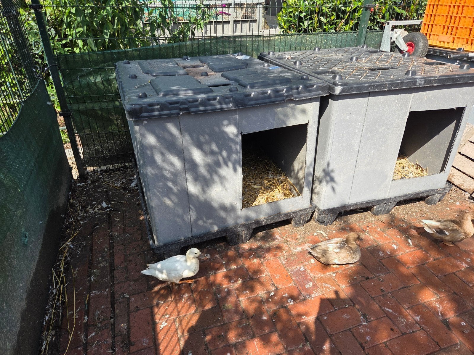 dieren hokjes kunststof, Ophalen of Verzenden