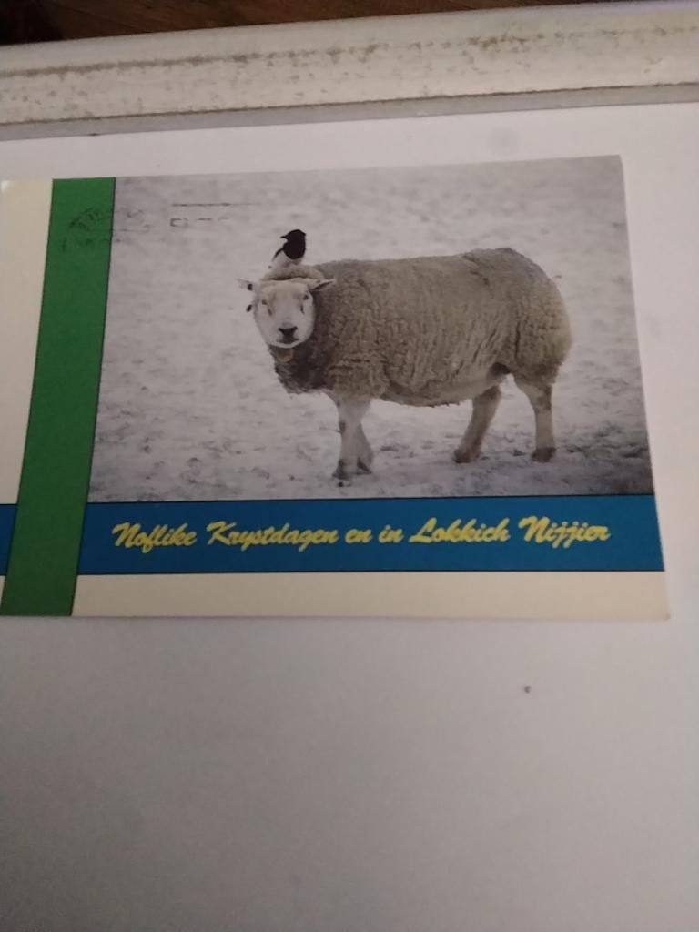 NOFLIKE. KRIJSTDAGEN EN IN  LOKKICH NIJJIER. 1992, Ophalen of Verzenden, 1980 tot heden